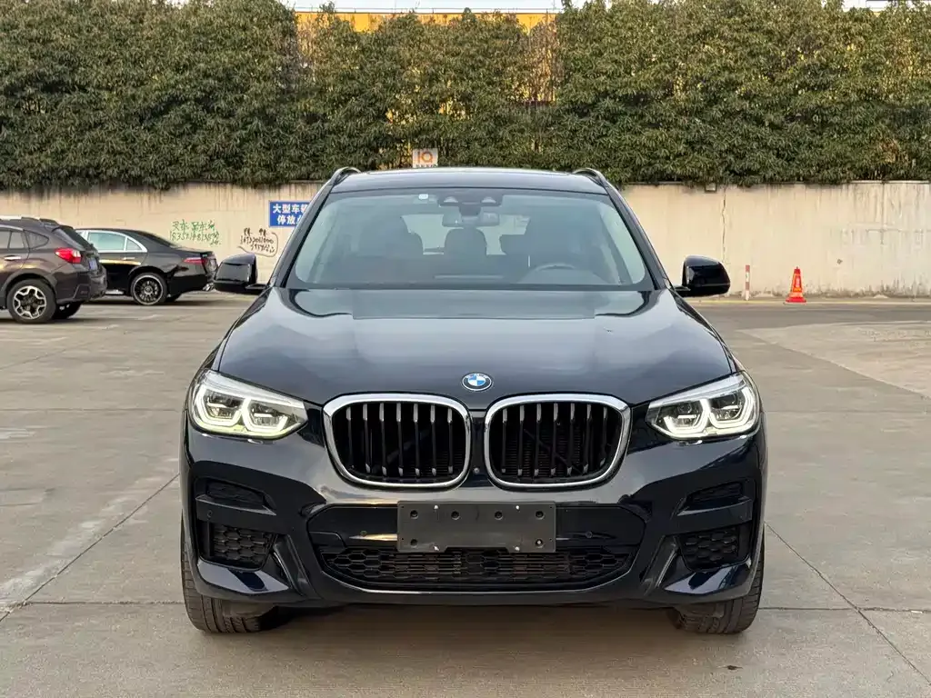 BMW X3 2021 из CN, фото 7