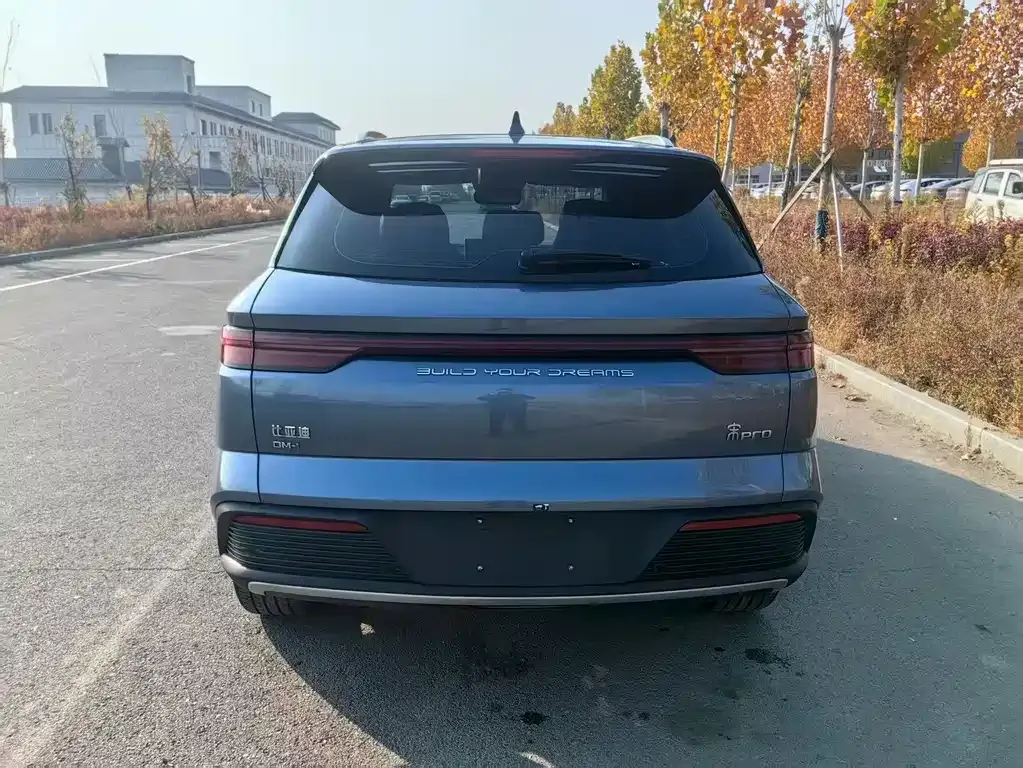 BYD Pro New Energy — фото 3