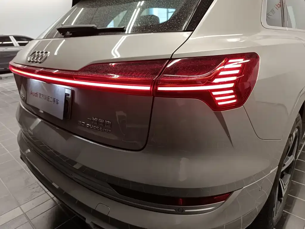Audi e-tron 2022 из CN, фото 7