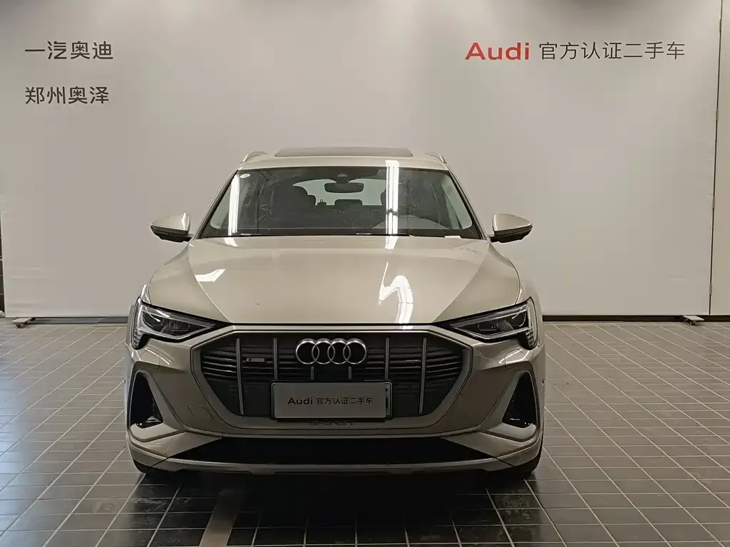Audi e-tron 2022 из CN, фото 8