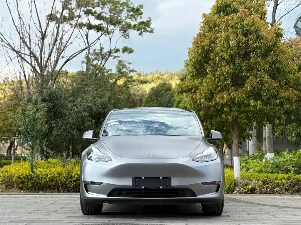Tesla Model Y — фото 2