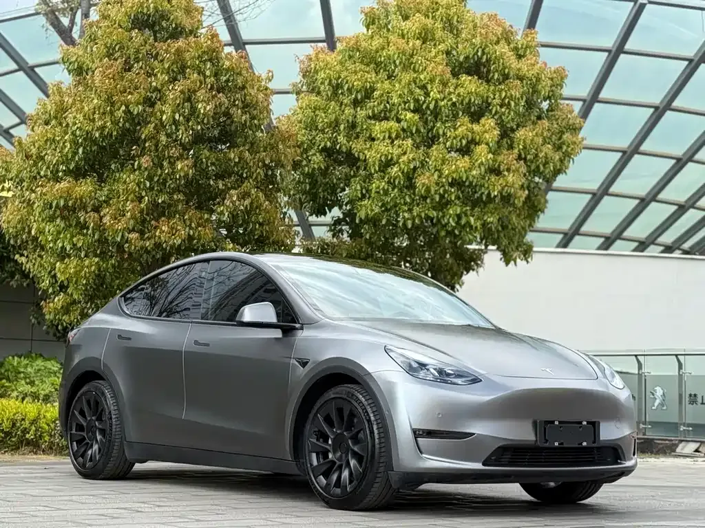 Tesla Model Y — фото 7