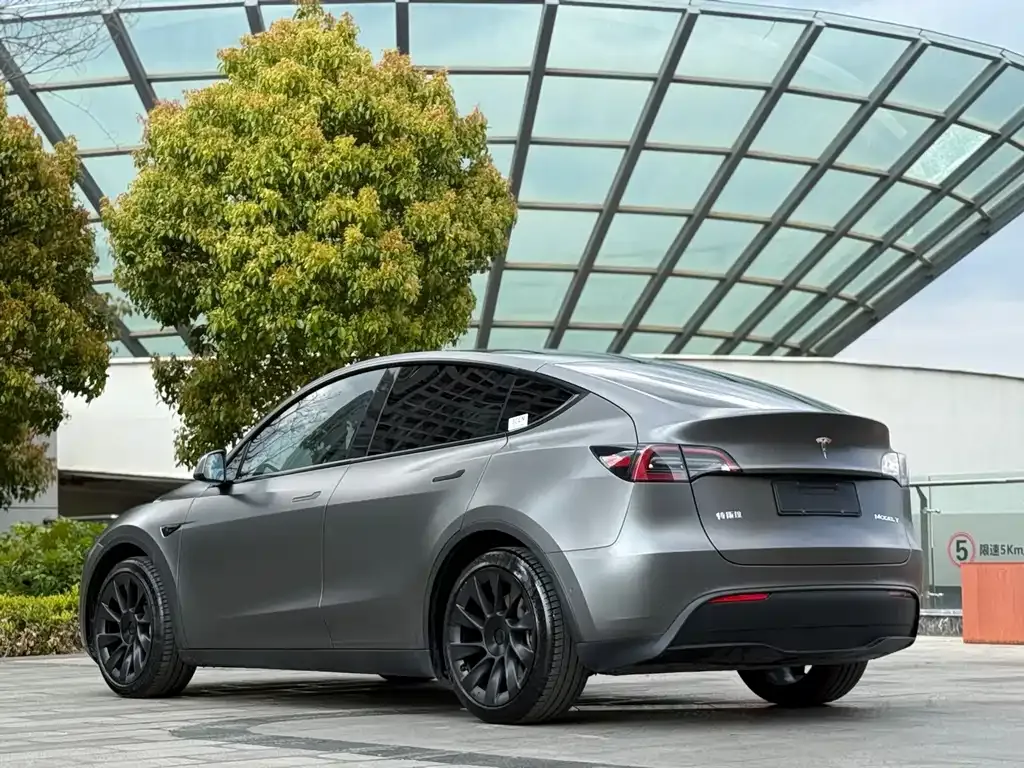 Tesla Model Y — фото 8