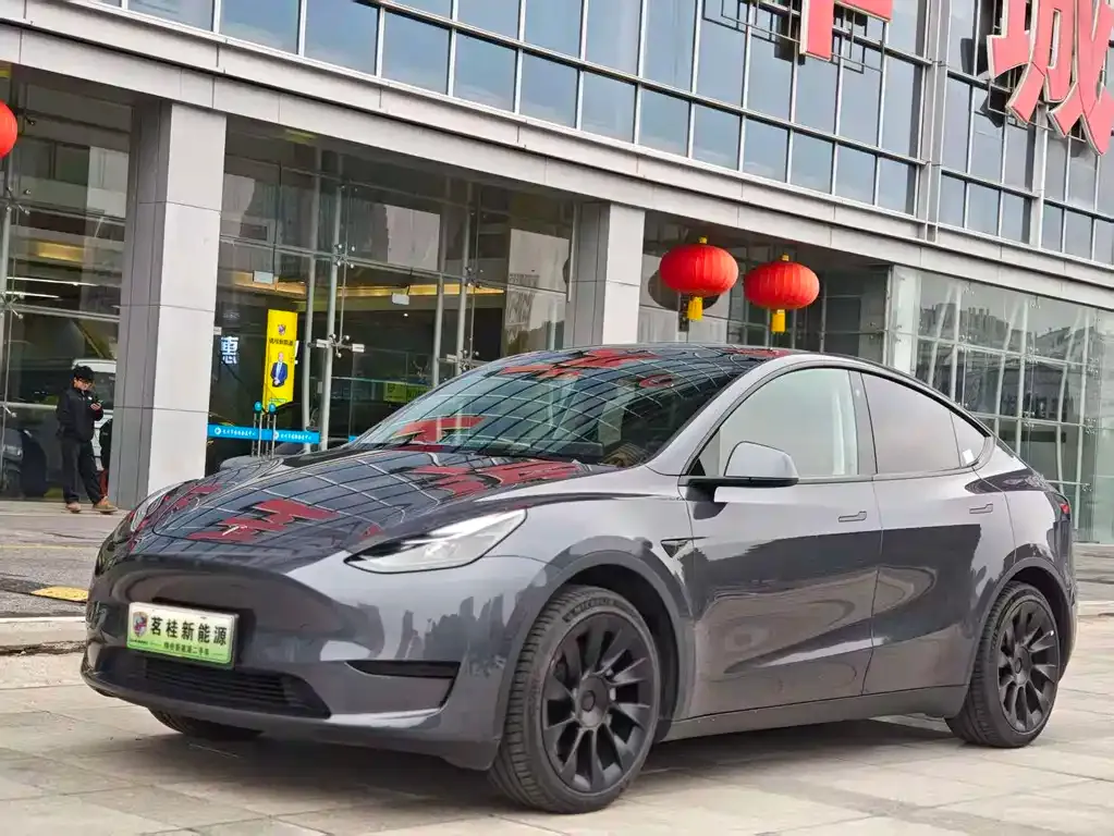 Tesla Model Y — фото 1