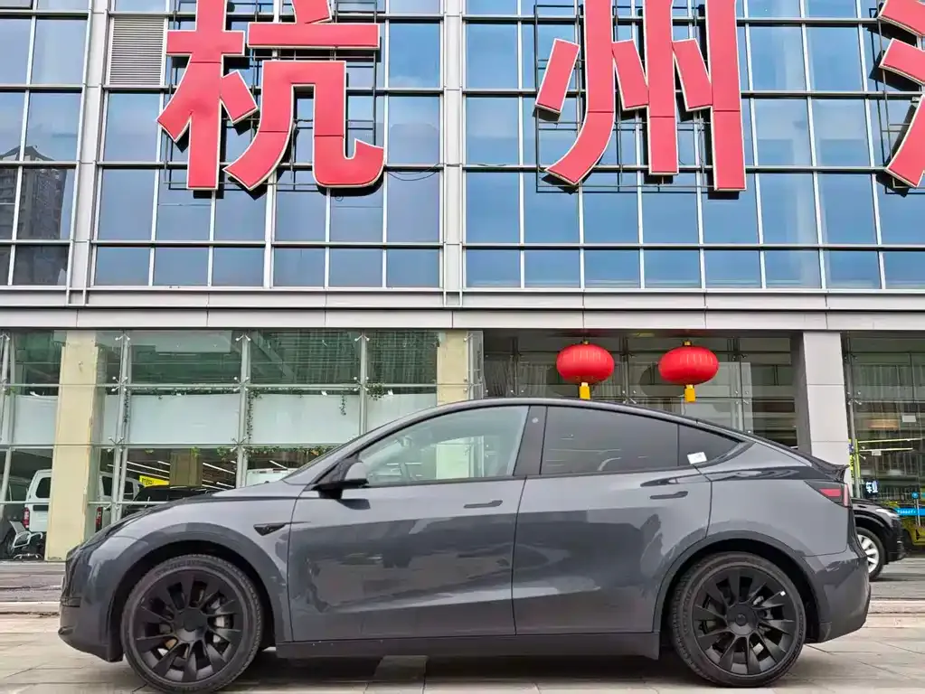 Tesla Model Y — фото 10