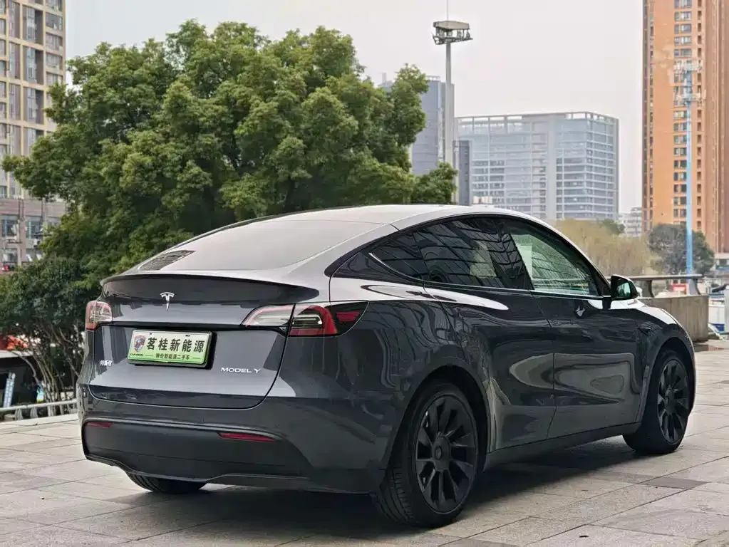 Tesla Model Y — фото 2