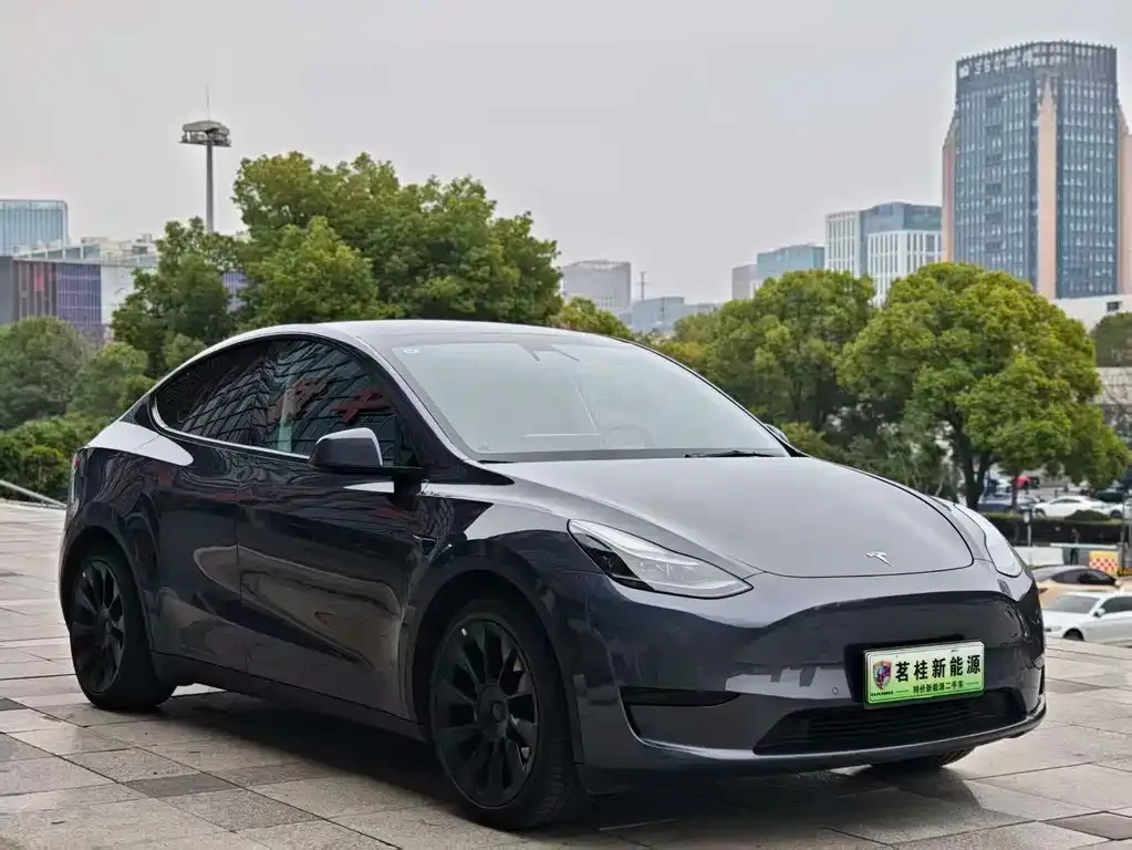 Tesla Model Y — фото 4