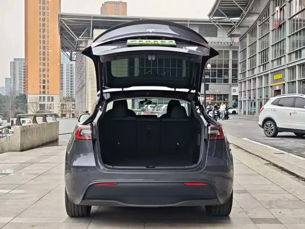 Tesla Model Y — фото 6