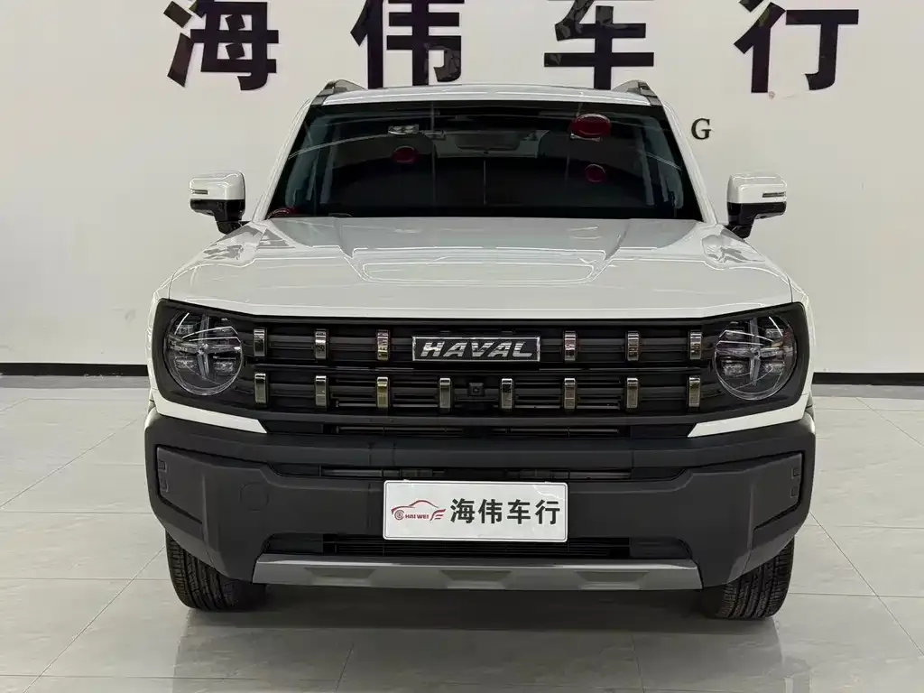 Haval Cool Dog — фото 6