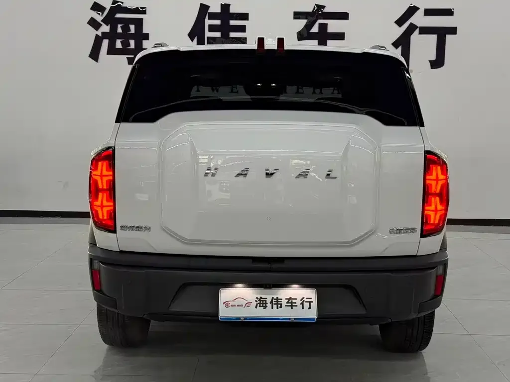 Haval Cool Dog — фото 8