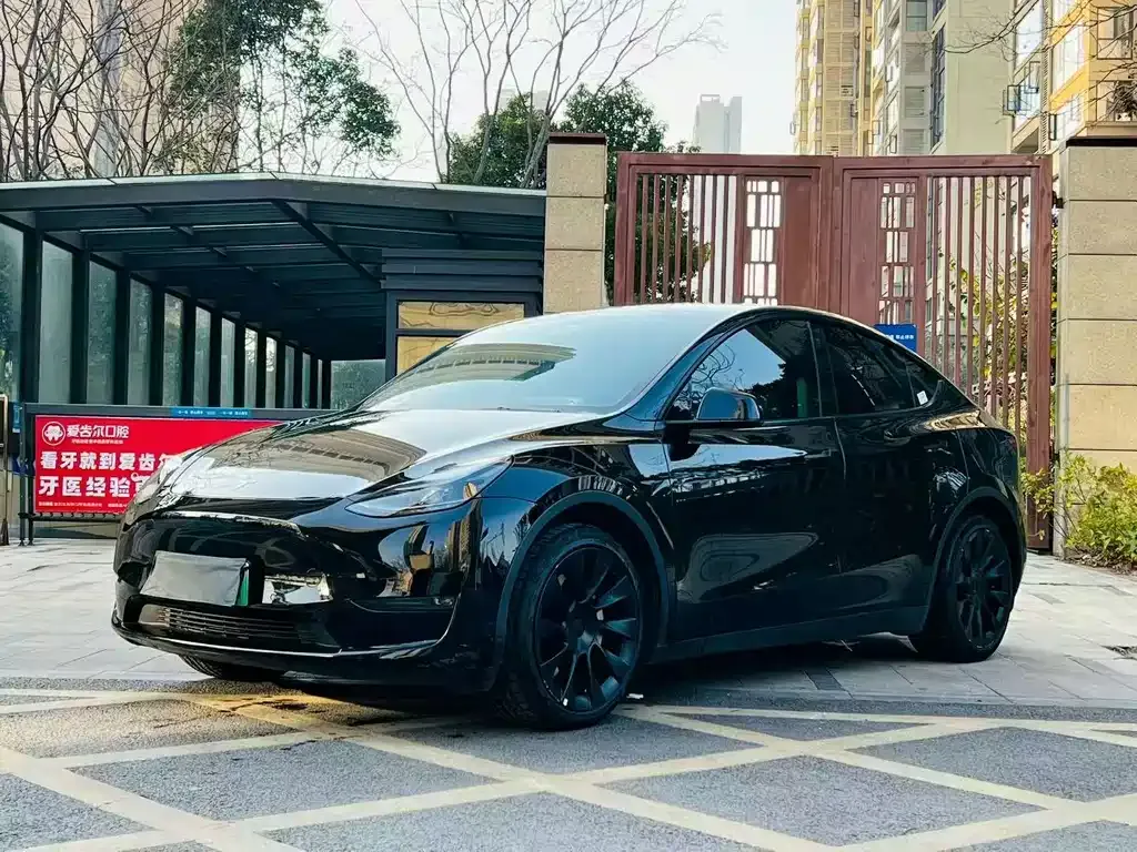 Tesla Model Y — фото 1