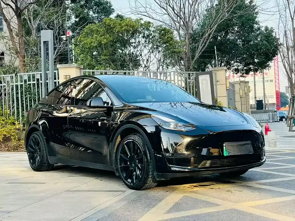 Tesla Model Y — фото 5