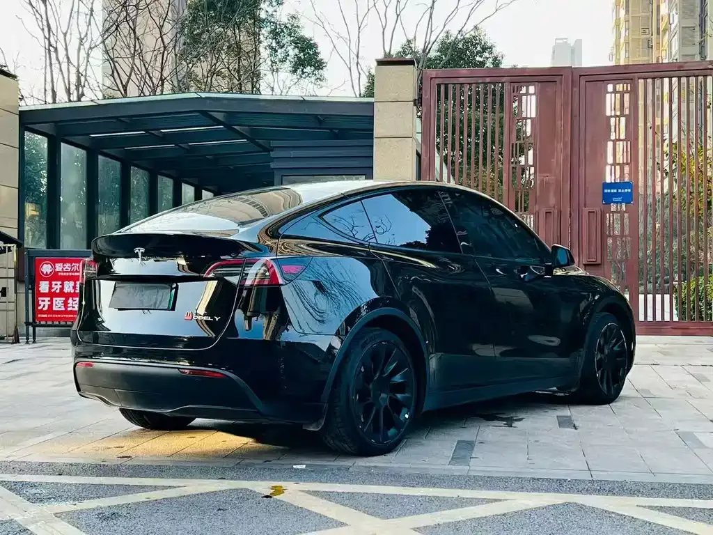 Tesla Model Y — фото 6