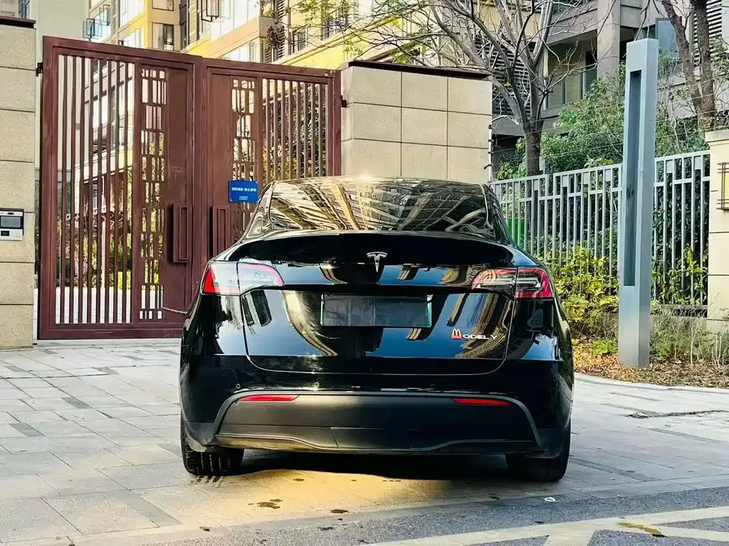 Tesla Model Y — фото 9