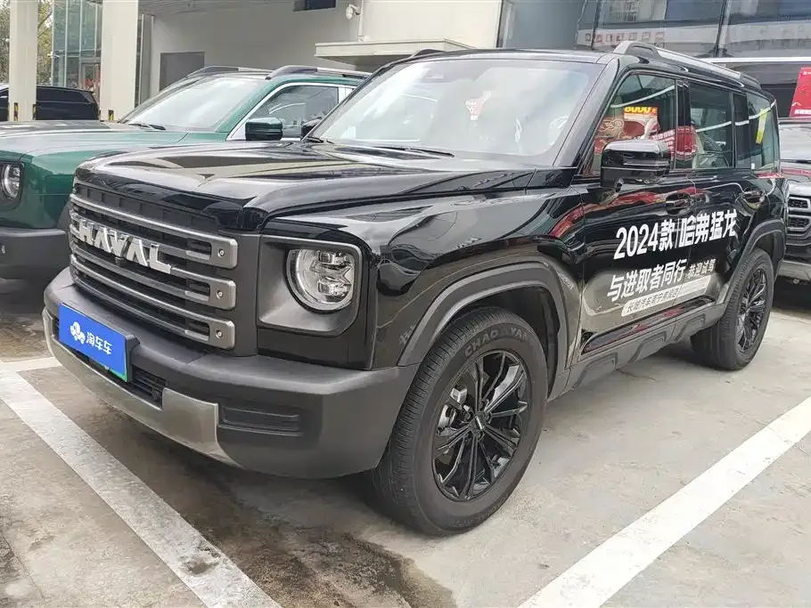 Haval Menglong New Energy — фото 1
