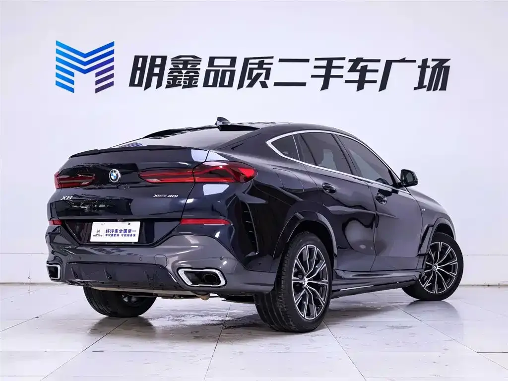 BMW X6 2021 из CN, фото 4