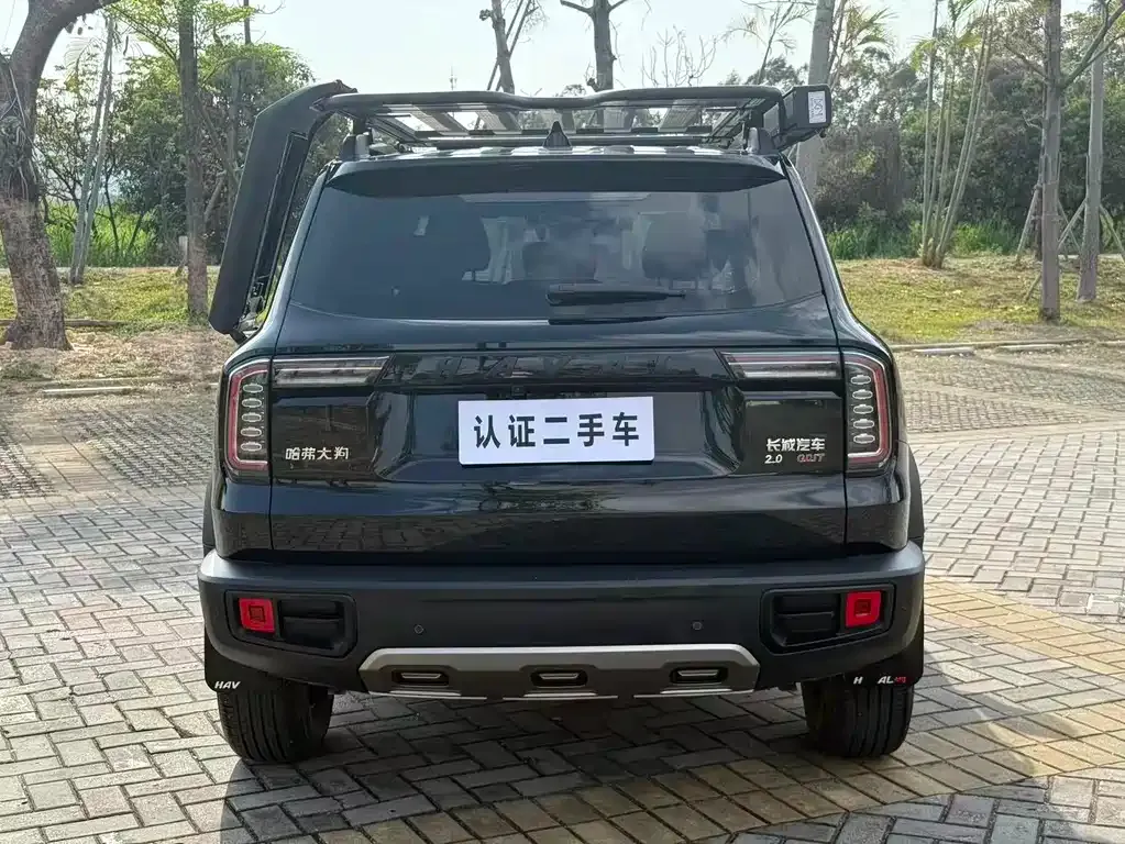 Haval Big Dog 2023 из CN, фото 10