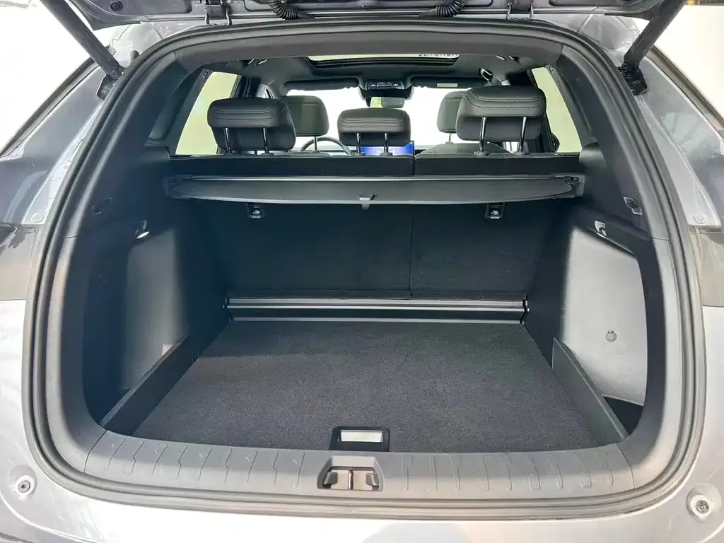 BYD L DM-i — фото 10
