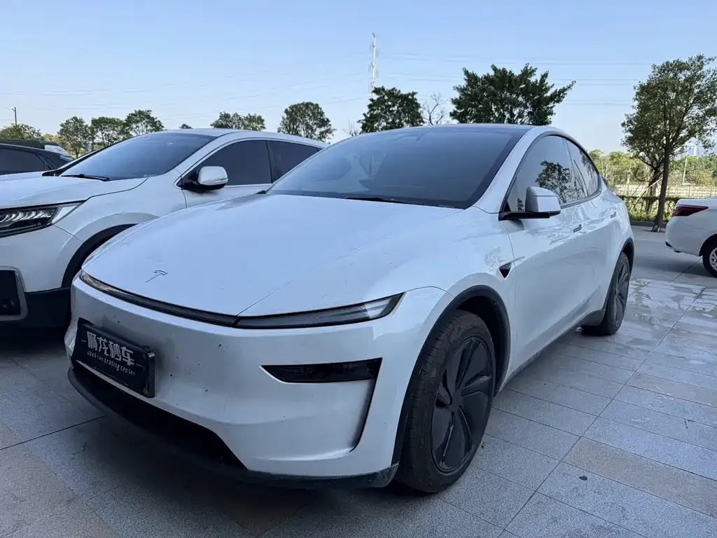 Tesla Model Y — фото 1