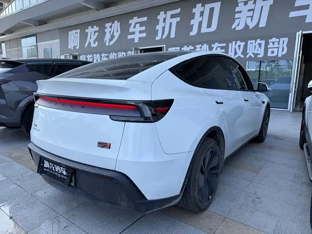 Tesla Model Y — фото 3