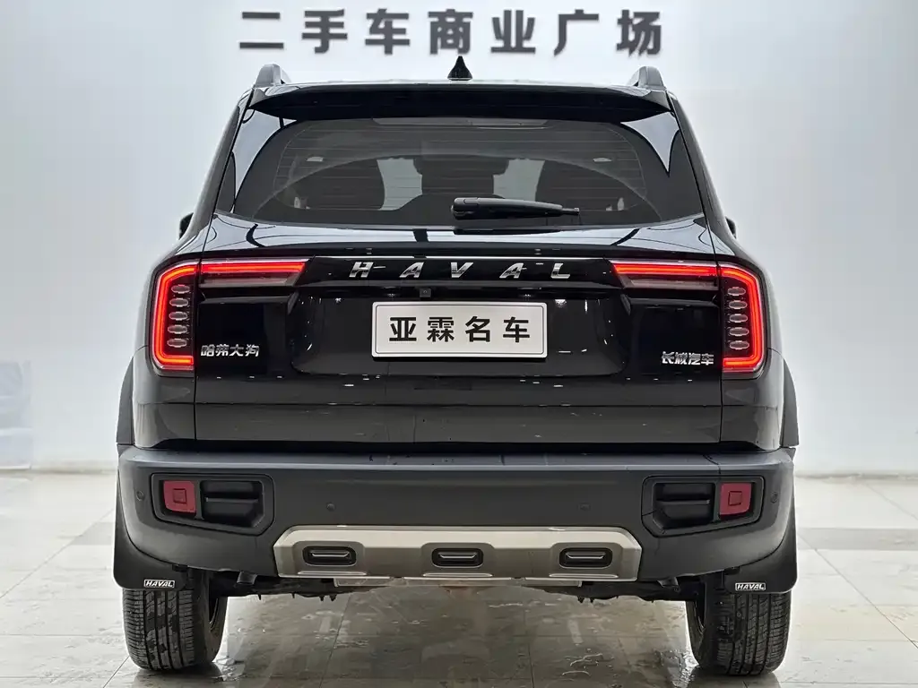 Haval Big Dog — фото 8