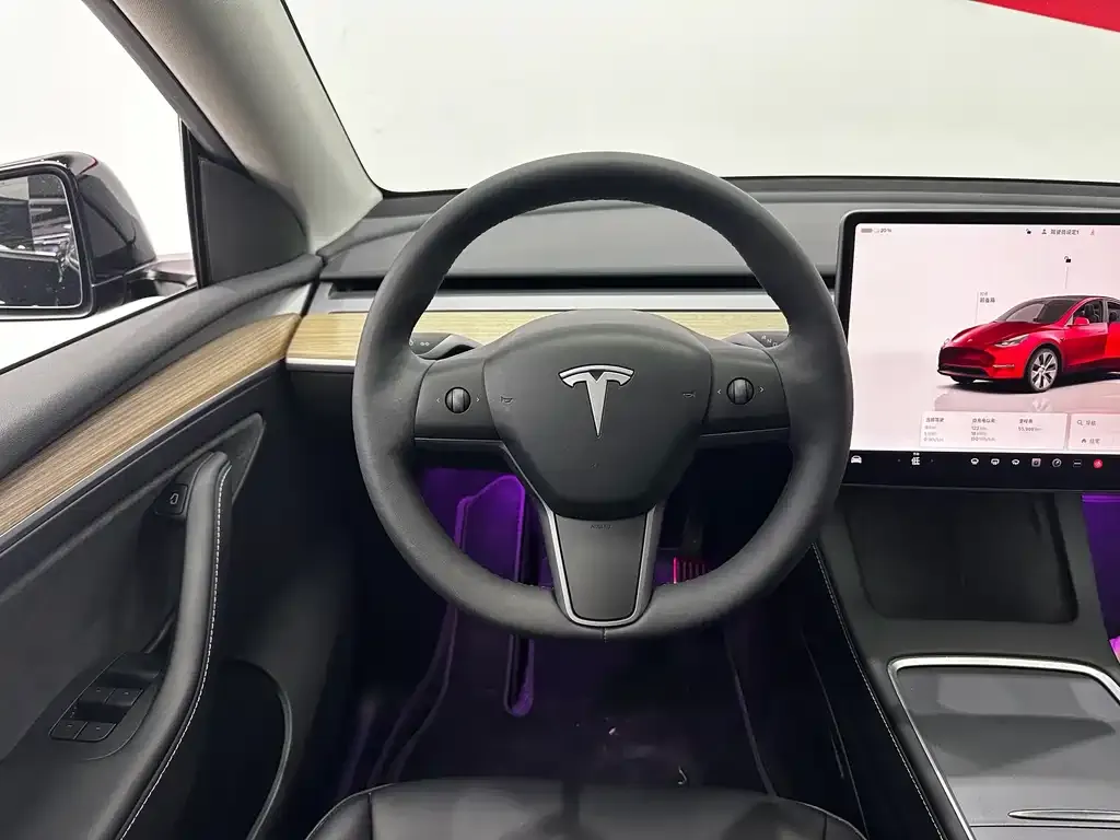 Tesla Model Y — фото 9