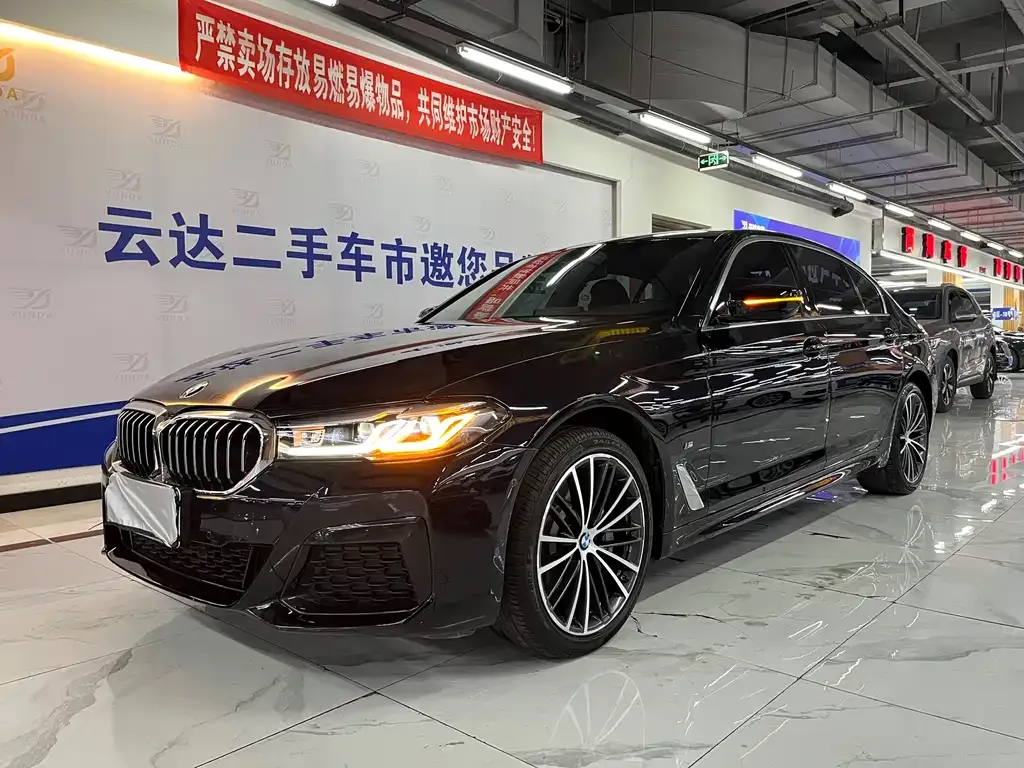 BMW 5 Series 2022 из CN, фото 7