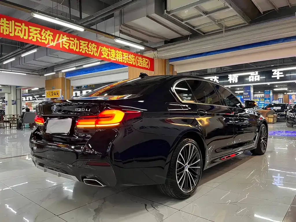 BMW 5 Series 2022 из CN, фото 4
