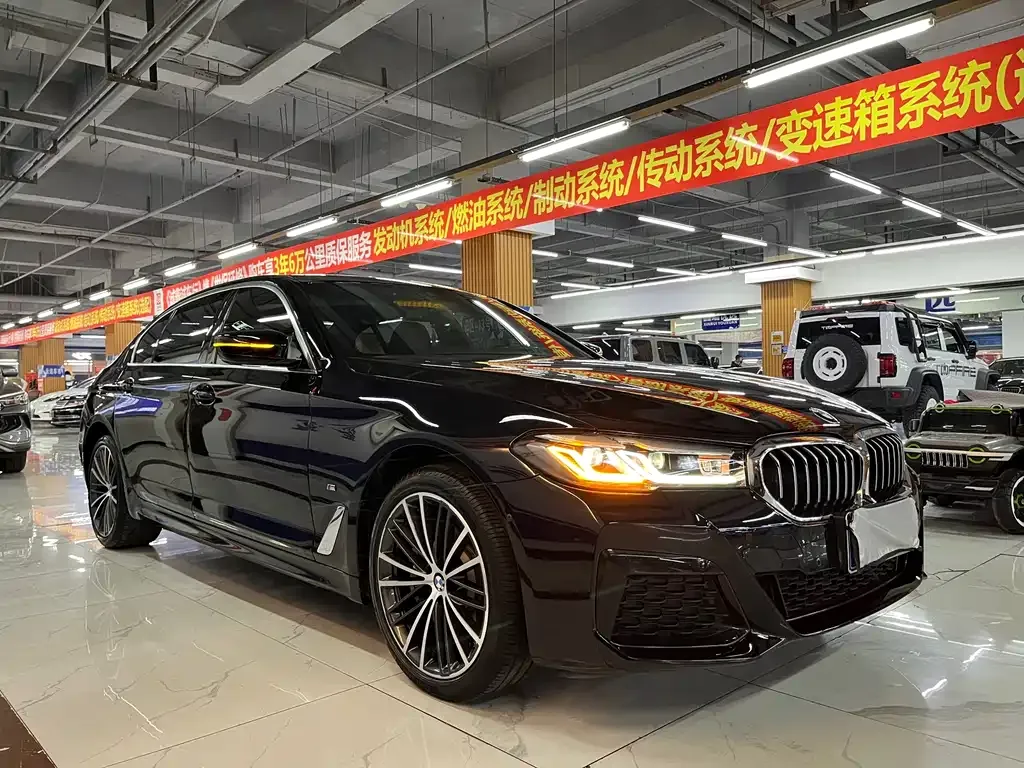 BMW 5 Series 2022 из CN, фото 9