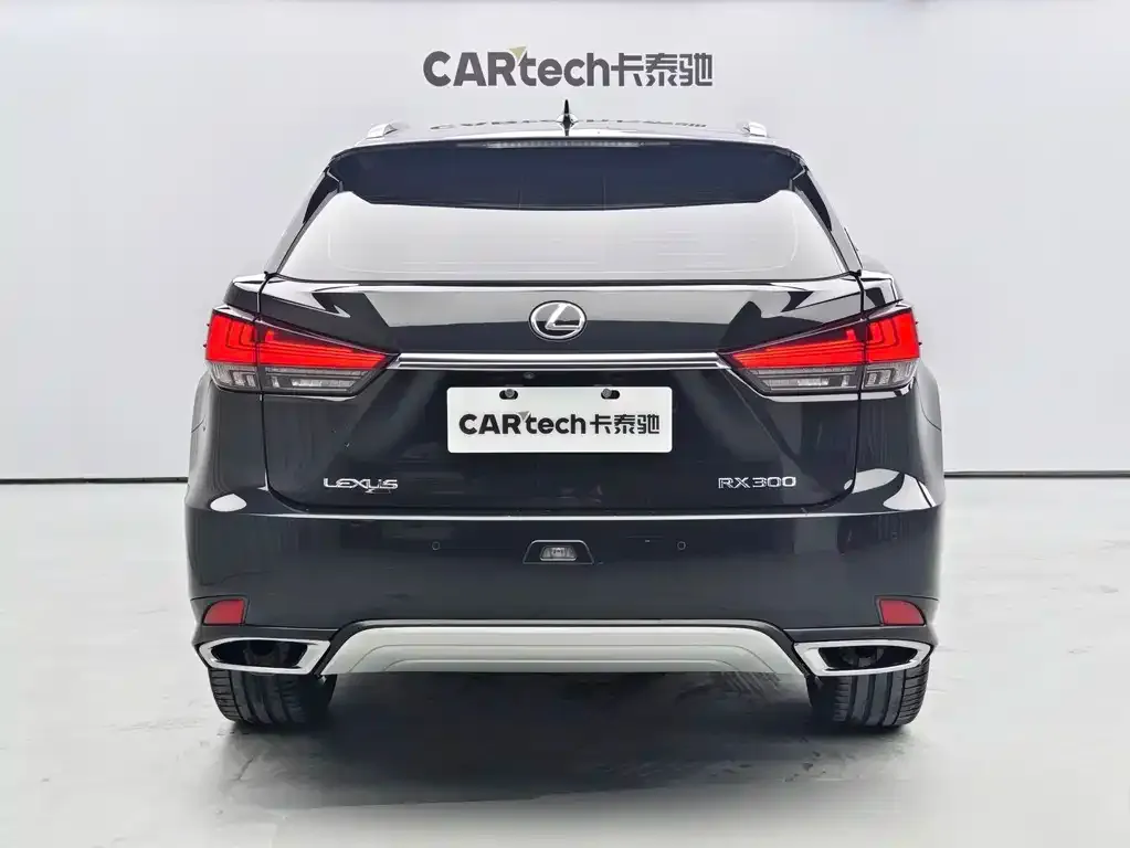 Lexus RX — фото 5