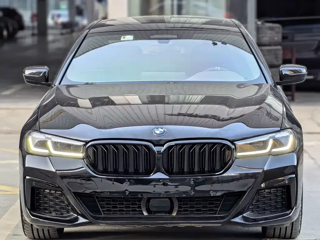 BMW 5 Series New Energy — фото 5