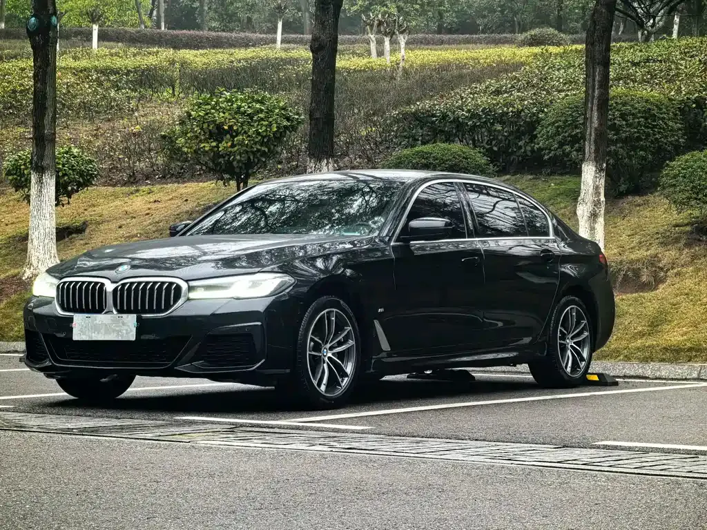 BMW 5 Series — фото 1
