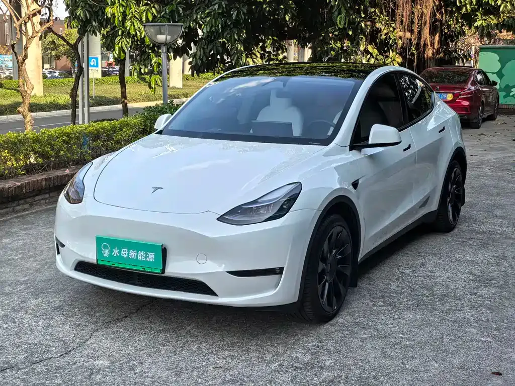 Tesla Model Y — фото 1