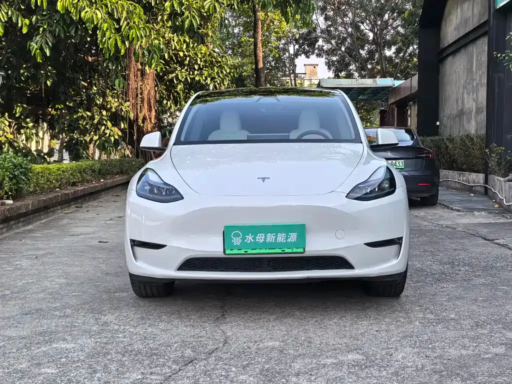 Tesla Model Y — фото 10