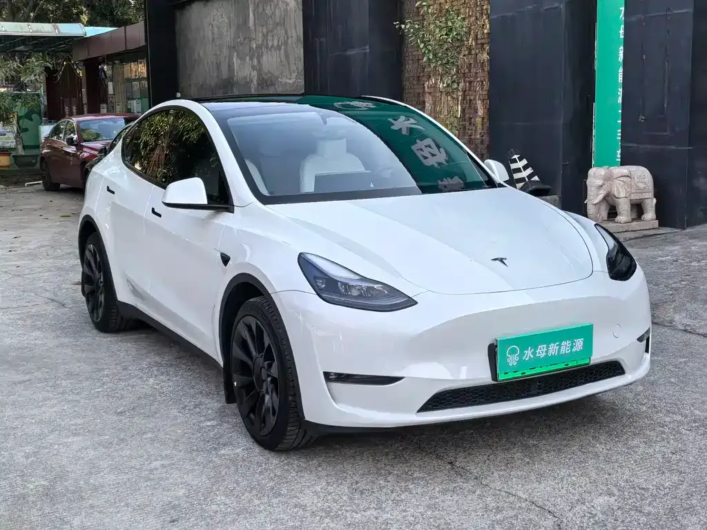 Tesla Model Y — фото 6