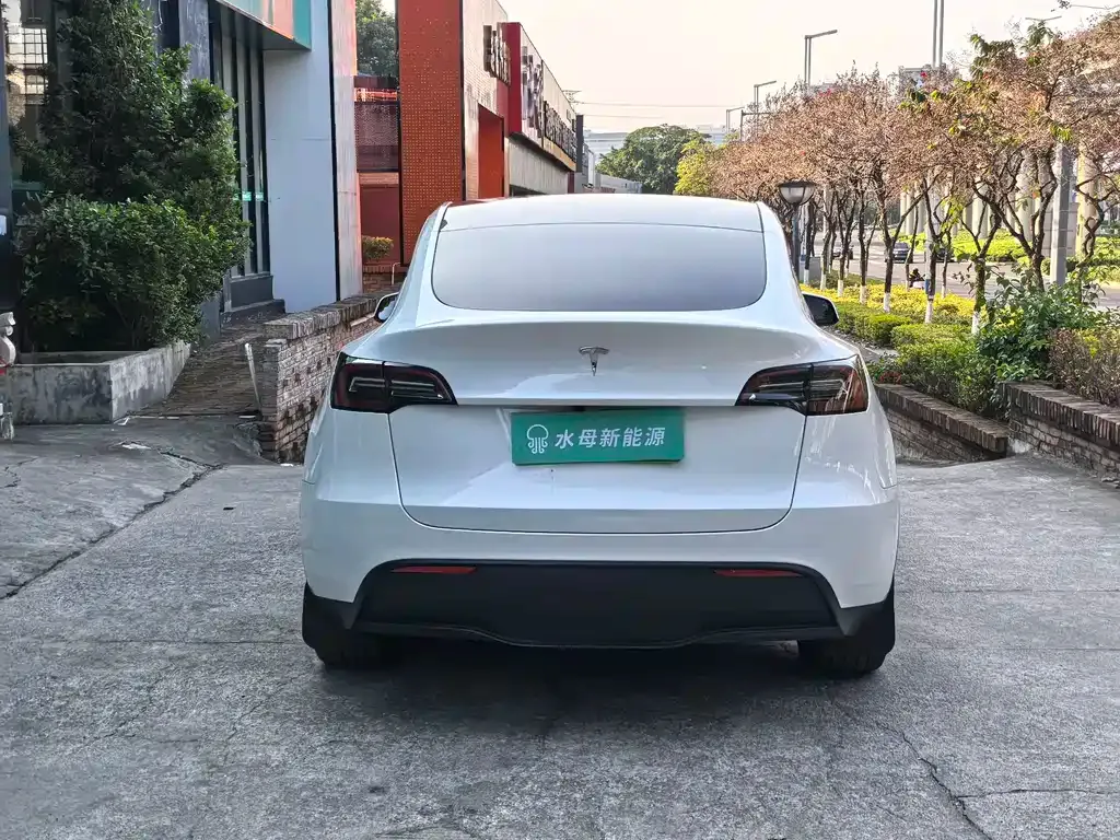 Tesla Model Y — фото 7