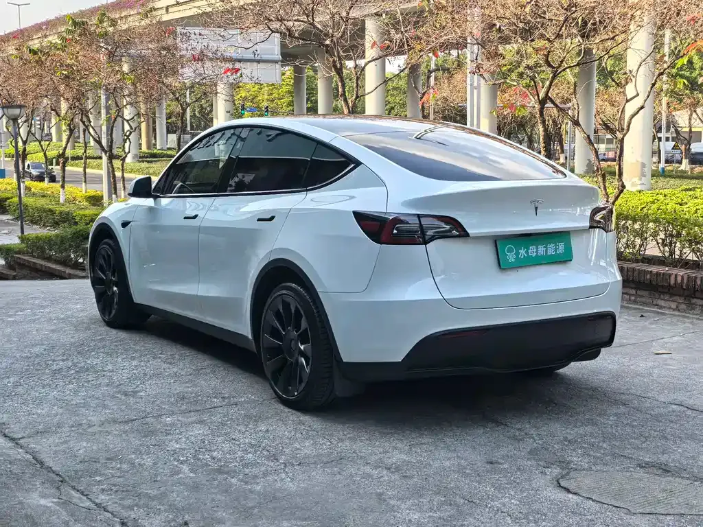 Tesla Model Y — фото 9