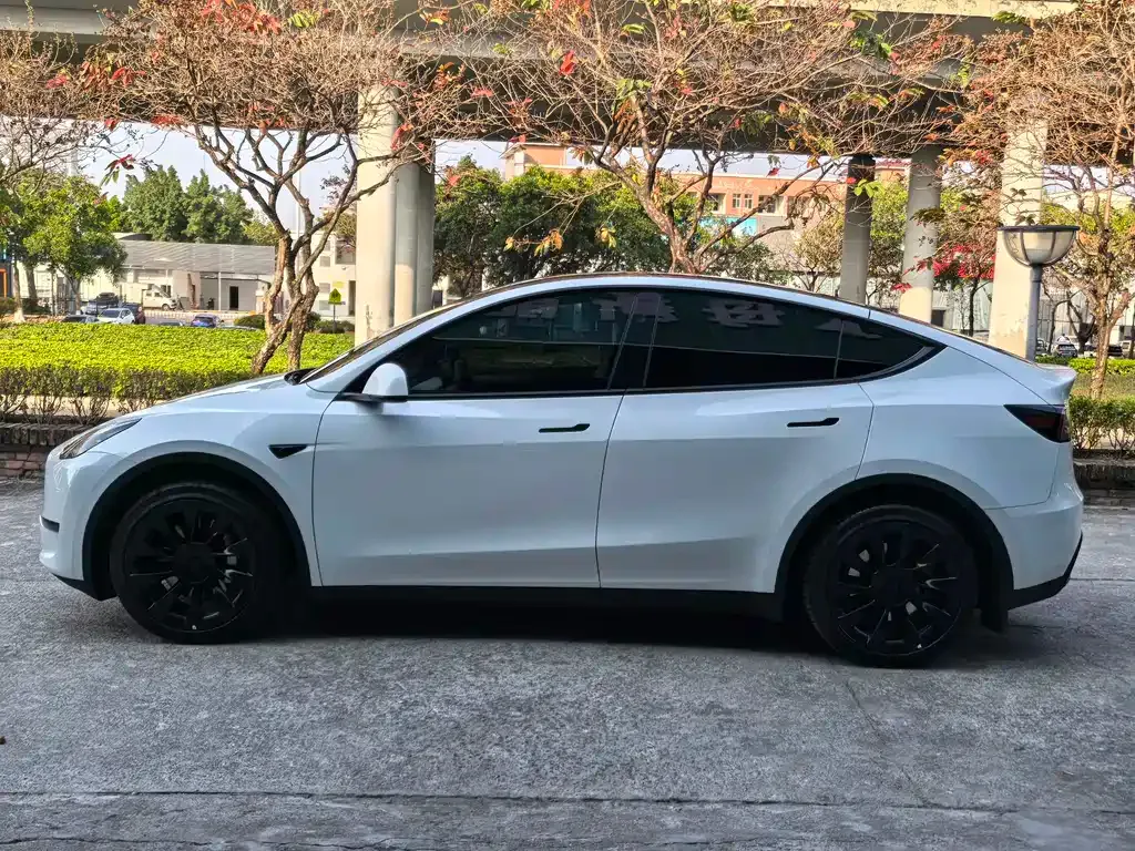 Tesla Model Y — фото 8