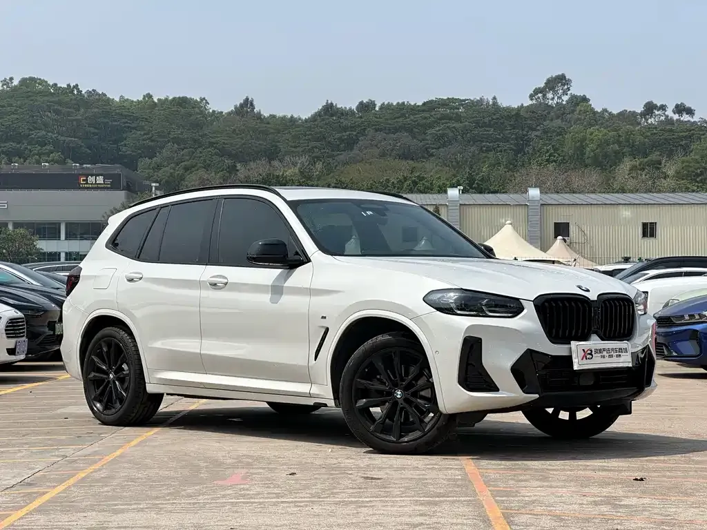 BMW X3 2024 из CN, фото 5