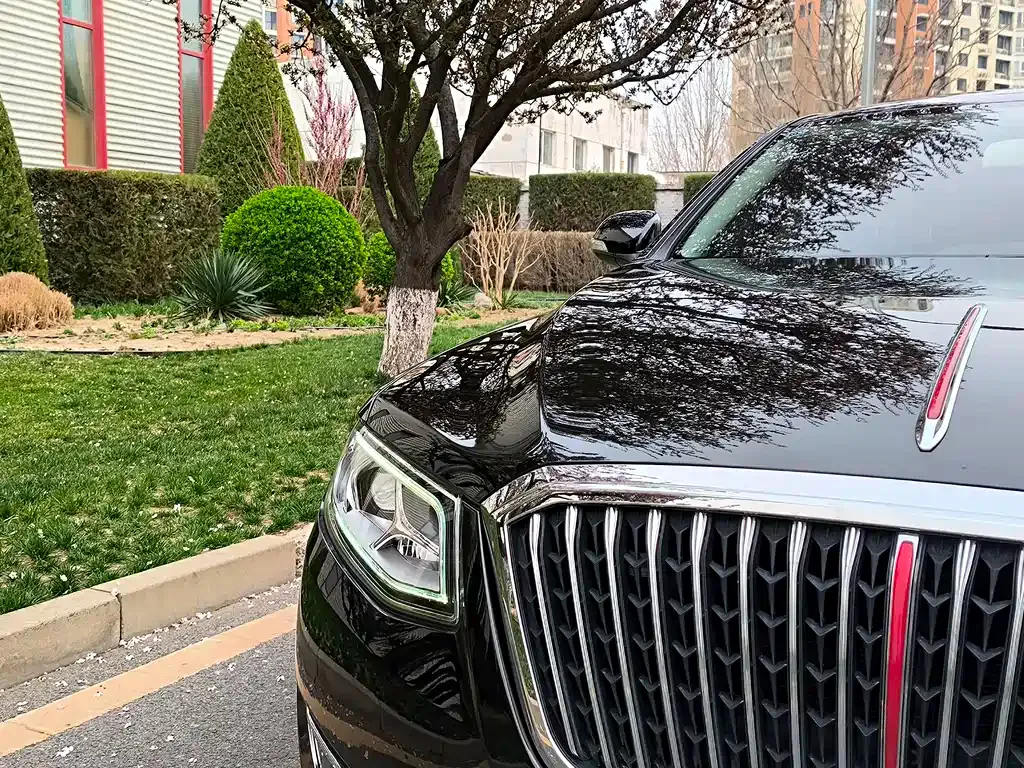 Hongqi H7 2021 из CN, фото 8