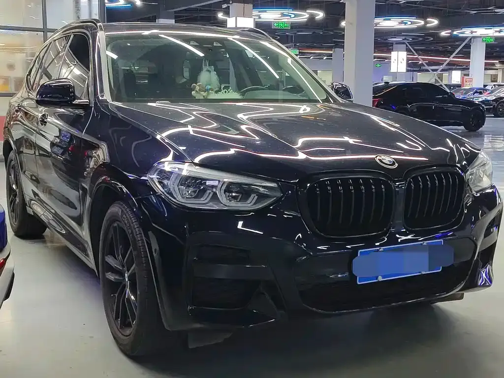 BMW X3 2021 из CN, фото 9