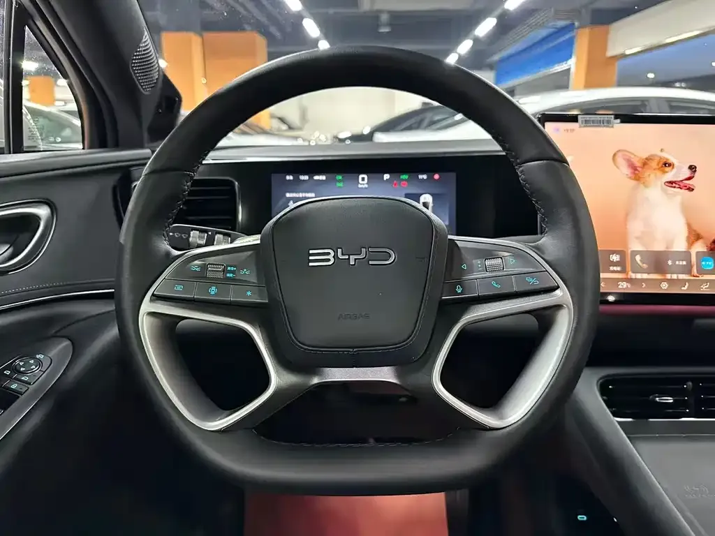 BYD Hiace 06 — фото 3