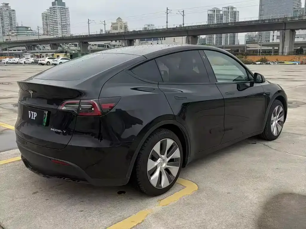 Tesla Model Y — фото 9
