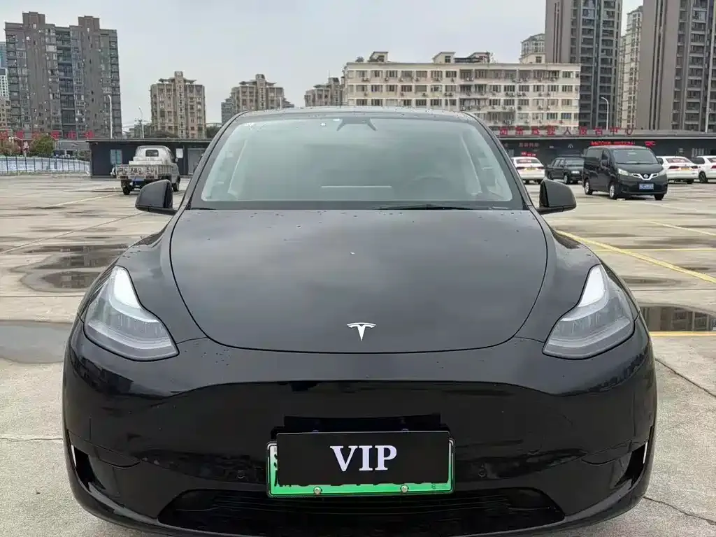 Tesla Model Y — фото 3
