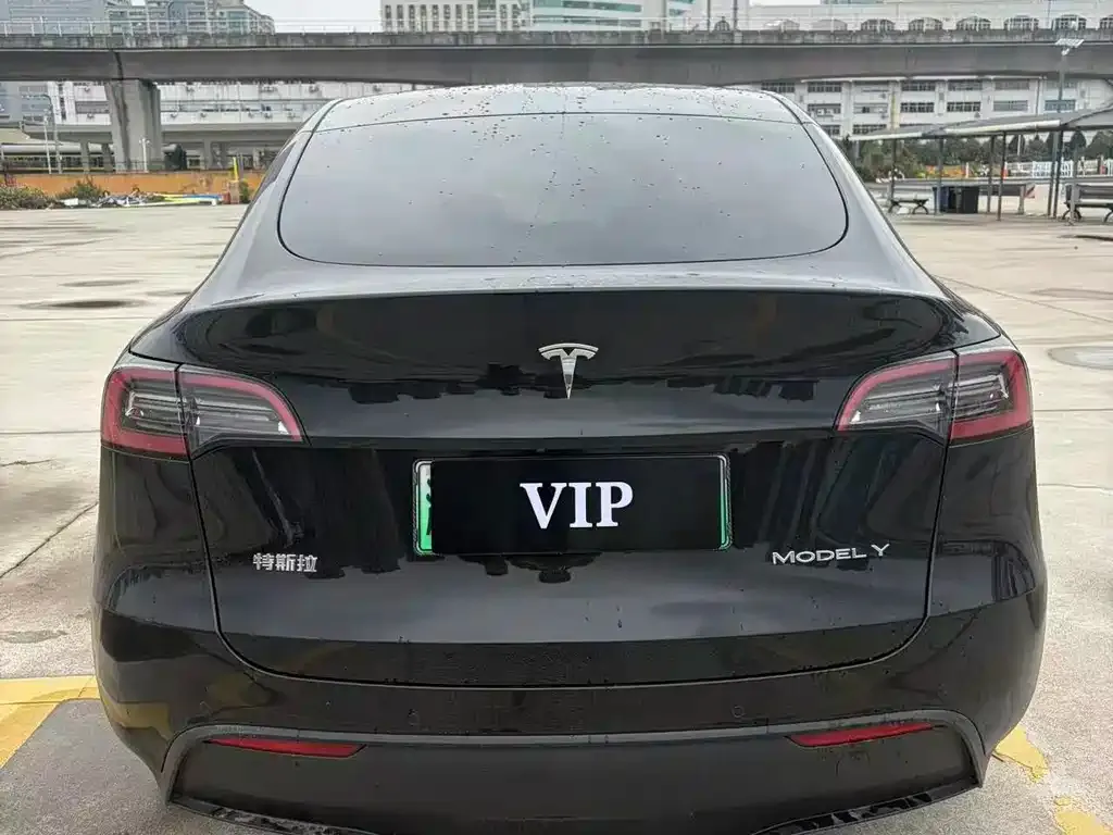 Tesla Model Y — фото 10