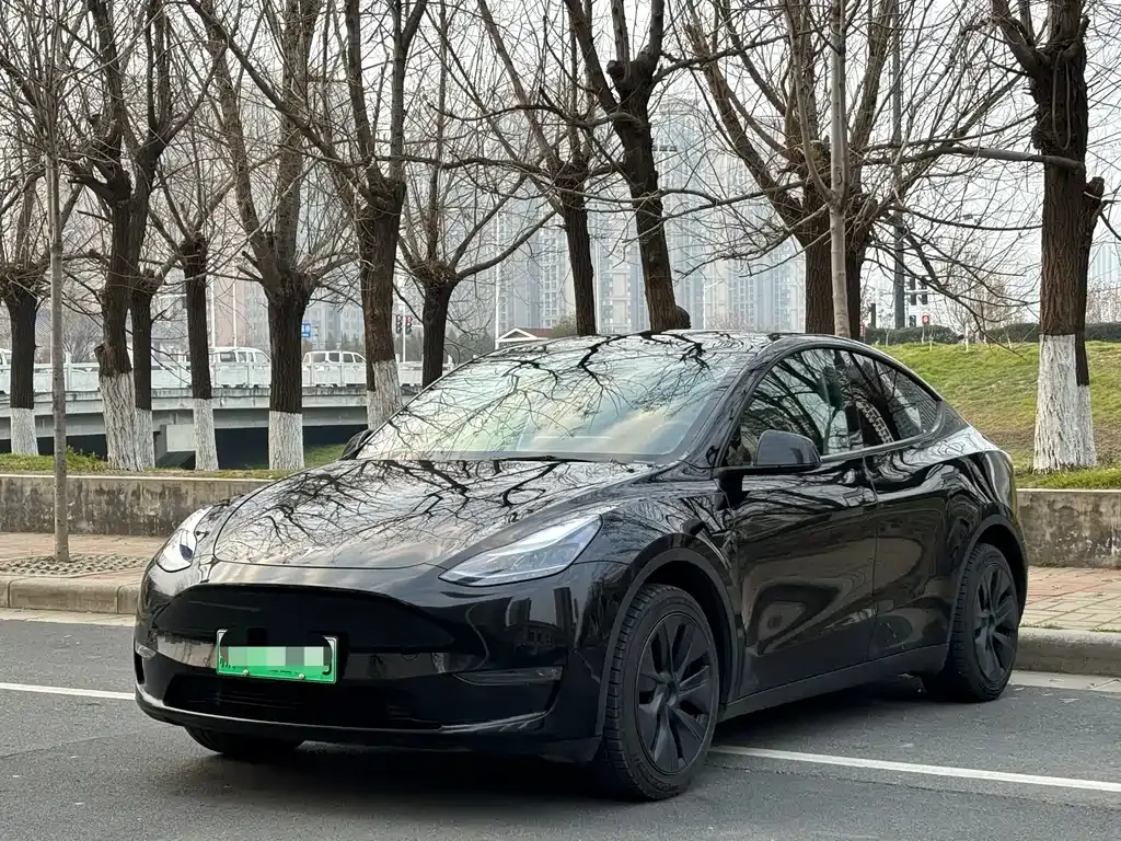 Tesla Model Y 2024 из CN, фото 1
