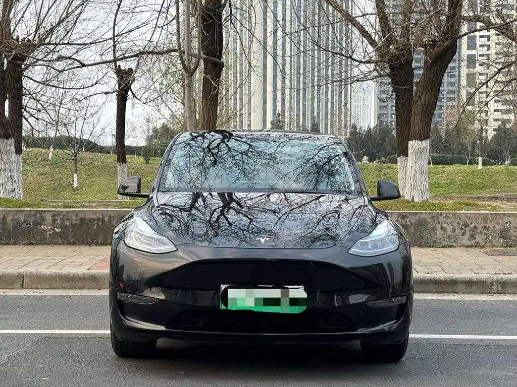 Tesla Model Y 2024 из CN, фото 9