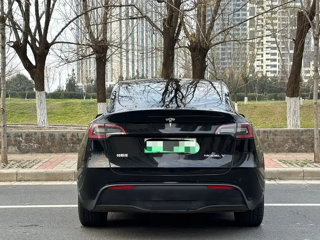 Tesla Model Y 2024 из CN, фото 7