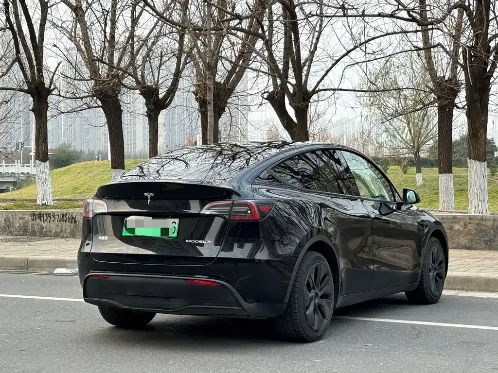 Tesla Model Y 2024 из CN, фото 6