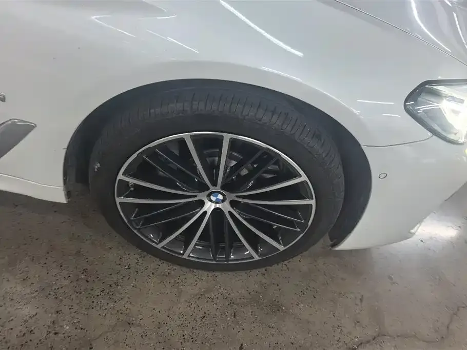 BMW 5 Series 2023 из CN, фото 7